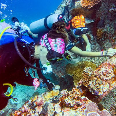 small-diving-center2